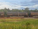 TCBX 306944